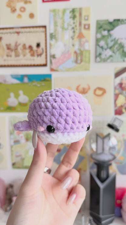 chonky bora whale ⋆˙⟡